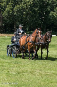 dressuur en vaardigheid  nienoord 10-8-2015  joshua keller-0367     